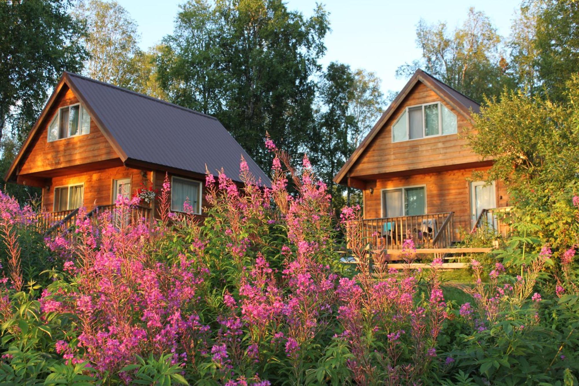 Susitna River Lodging, Riverside Cabins Talkeetna Eksteriør billede